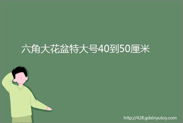 六角大花盆特大号40到50厘米